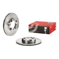 Brake Disc - Front - Single Rotor Only