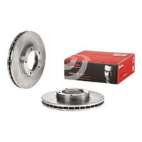 Brake Disc - Front - Single Rotor Only