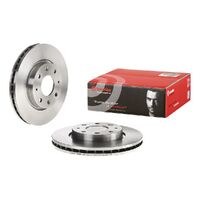 Brake Disc - Front - Single Rotor Only