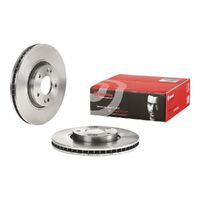 Brake Disc - Front - Single Rotor Only