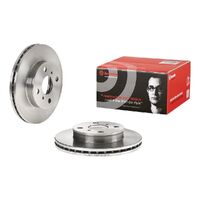 Brake Disc - Front - Single Rotor Only