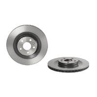 Brake Disc - Rear - Single Rotor Only