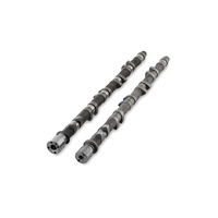 Camshaft Set (RB25 NVCS) - 262/272 Deg/10mm Lift