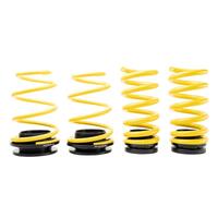 Height Adjustable Springs (USA Mustang Coupe 02/14+)