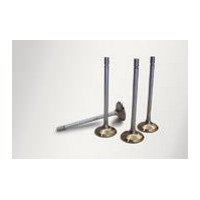 One Piece Stainless Steel Valves (Barra)