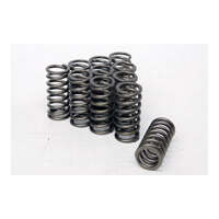 Extreme Duty Valve Springs (Barra DOHC Engines)