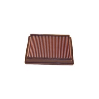 Replacement Air Filter (Audi RS6 02-04)