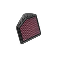 Replacement Air Filter (Genesis w/RHS Airbox 15-16)