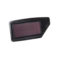 Replacement Air Filter (Insight 2019+)