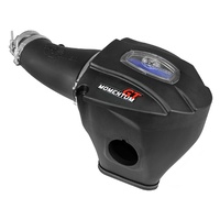 Momentum GT Cold Air Intake System w/Pro 5R Filter (Challenger/Charger SRT/SRT8 11-14)