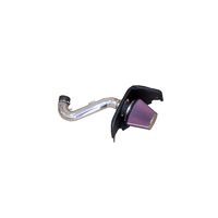 69 Series Typhoon Performance Air Intake System (Mustang 05-09)