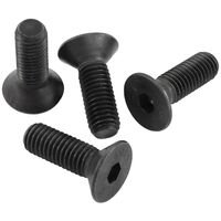 Camshaft Retaining Plate Bolts