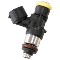 Bosch 2200cc CNG Fuel Injector Short Denso 0280158821