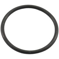 Replacement Pro Filter Body O-Ring