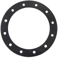 Replacement Viton Gasket - Universal