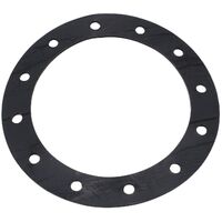 Replacement PTFE Gasket