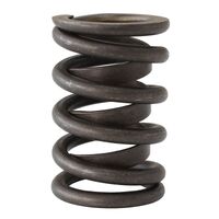 Replacement Dual Valve Spring with Damper 1.470" O.D