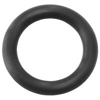 Turbo Oil Drain Adapter O-Ring