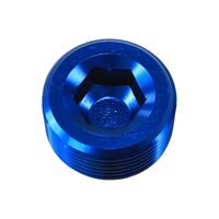 NPT Plug - 9.5mm