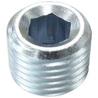 1/4" NPT Port Plug