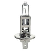 Pkt 1 H3 +30% Halogen Globe 12V 55W P14.5S Base