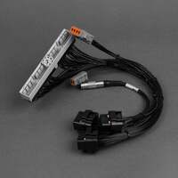 Patch Harness to KV Series ECU (Skyline R34 GTR 99-02)