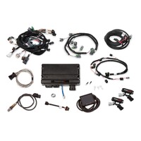 Terminator X - Ford Mod Motor 2V Kit Compatible w/ Stock Coils and EV6 injectors