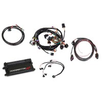 Dominator EFI Kit - LS1 Main Harness w/ Trans and DBW with EV1 Injector Harness