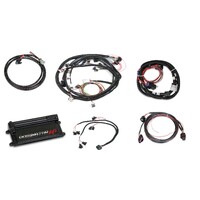 Dominator EFI Kit - LS2 Main Harness w/ Trans and DBW with EV1 Injector Harness