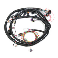 Universal MPFI Main Harness Universal MPFI Main Harness for HP EFI & Dominator EFI