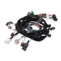 Ford 2V & 4V Modular Main Harness Ford 2V & 4V Modular Main Harness, For HP EFI & Dominator EFI