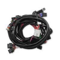 Coyote Ti-VCT Main Harness for HP smart coils 2011-2017 Coyote Ti-VCT Main Harness for 2011-2017 Coyote Engines using HP smart coils