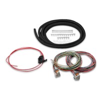 Universal Coil On/Near Plug Harness For use with Holley® HP and Dominator ECUs and other EFI systems