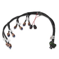 Ford Coyote Ti-VCT Coil Harness 2015.5-2017 Ford Coyote Ti-VCT Coil Harness 2015.5-2017