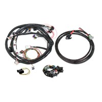 Universal Ford V-8 Harness Kit Universal Ford V8, Bosch Injector