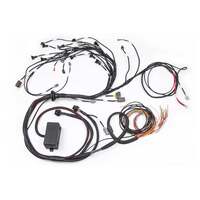 Elite 2000/2500 Terminated Engine Harness for Nissan RB Engines