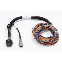 Auxiliary Flying Lead Harness for Elite PRO Plug-in ECUs