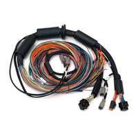 Nexus R3 Universal Wire-in Harness - 2.5m 8' Length: 2.5M