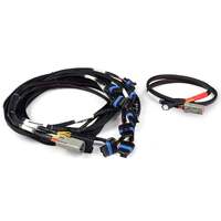 Nexus Universal V8 - IGN-1A Ford Harness