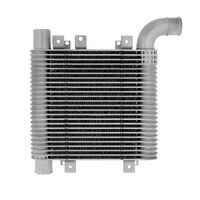 Intercooler (Santa Fe CM D4EB 06-09)