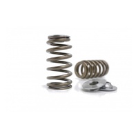 Valve Spring and Titanium Retainer Kit (VQ35DE-T)