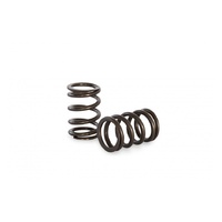 Single Valve Spring Set 105E-116E