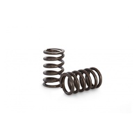 Valve Spring Set (BRZ/86)