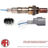 Oxygen Sensor