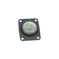 30cc Pump Diaphragm Assy. 10-Pack