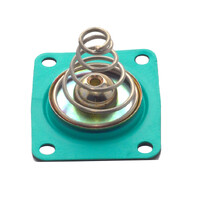 Bypass Regulator Diaphragm Kit Hardware not included