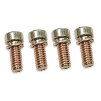 30cc Pump Cover Screws Quantity of 4