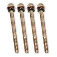 2 1/2" 4150/4160 Fuel Bowl Screws 5-3 Quantity of 4