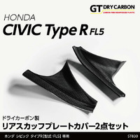 Rear Step Guard (Civic Type R 22+)