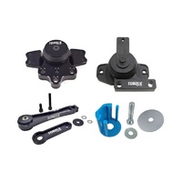 Engine, Transmission + Pendulum Mount Kit w/Race Insert (Audi A3/TT 2.0T)